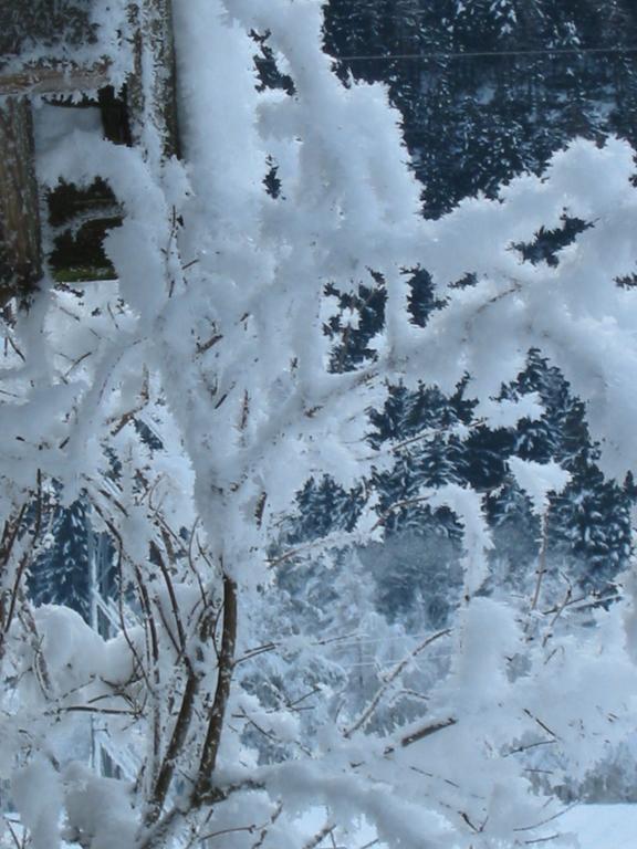 Berghaus Drei Tannen Hotel Оец Екстериор снимка